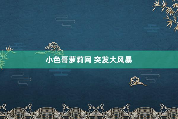 小色哥萝莉网 突发大风暴