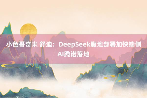 小色哥奇米 舒迪：DeepSeek腹地部署加快端侧AI践诺落地