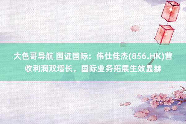 大色哥导航 国证国际：伟仕佳杰(856.HK)营收利润双增长，国际业务拓展生效显赫