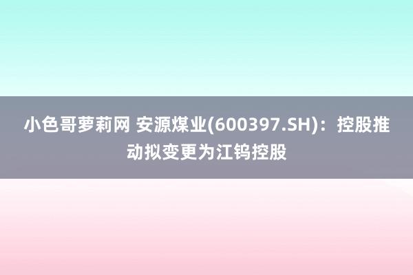 小色哥萝莉网 安源煤业(600397.SH)：控股推动拟变更为江钨控股