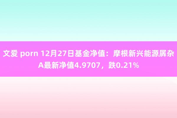 文爱 porn 12月27日基金净值：摩根新兴能源羼杂A最新净值4.9707，跌0.21%