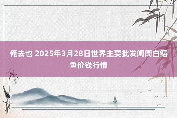 俺去也 2025年3月28日世界主要批发阛阓白鳝鱼价钱行情