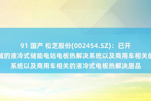 91 国产 松芝股份(002454.SZ)：已开导能收场较宽制冷量领域的液冷式储能电站电板热解决系统以及商用车相关的液冷式电板热解决居品