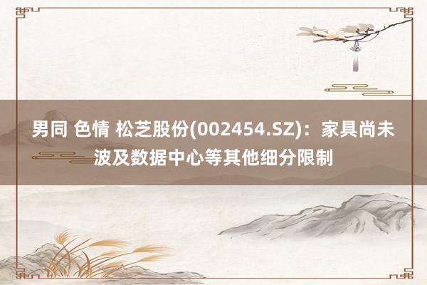 男同 色情 松芝股份(002454.SZ)：家具尚未波及数据中心等其他细分限制