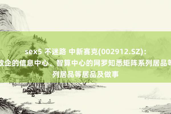 sex5 不迷路 中新赛克(002912.SZ)：已推出头向政企的信息中心、智算中心的网罗知悉矩阵系列居品等居品及做事