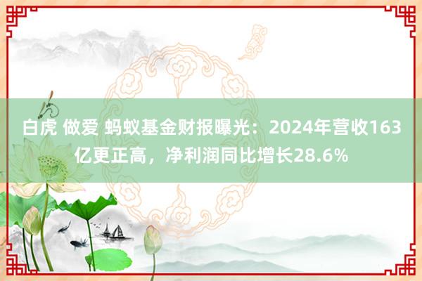 白虎 做爱 蚂蚁基金财报曝光：2024年营收163亿更正高，净利润同比增长28.6%