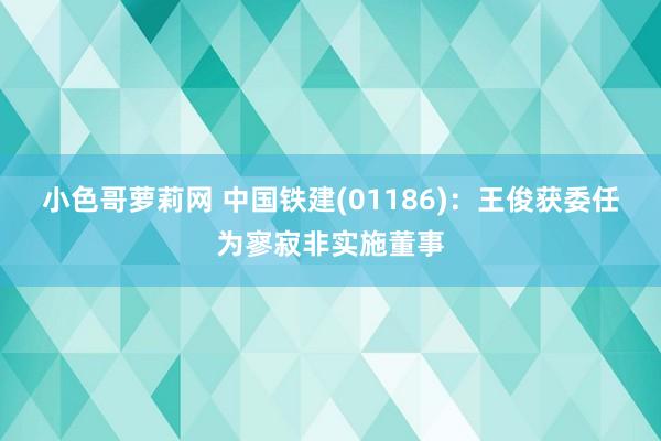小色哥萝莉网 中国铁建(01186)：王俊获委任为寥寂非实施董事