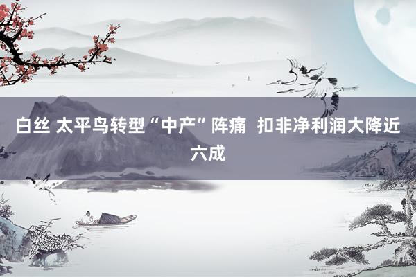 白丝 太平鸟转型“中产”阵痛  扣非净利润大降近六成
