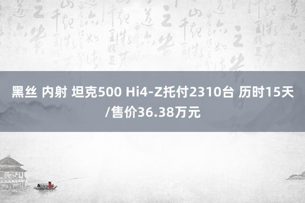 黑丝 内射 坦克500 Hi4-Z托付2310台 历时15天/售价36.38万元