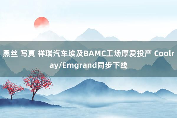 黑丝 写真 祥瑞汽车埃及BAMC工场厚爱投产 Coolray/Emgrand同步下线