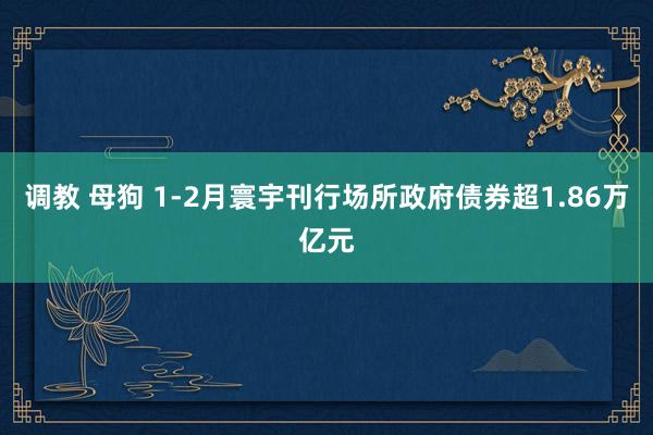 调教 母狗 1-2月寰宇刊行场所政府债券超1.86万亿元