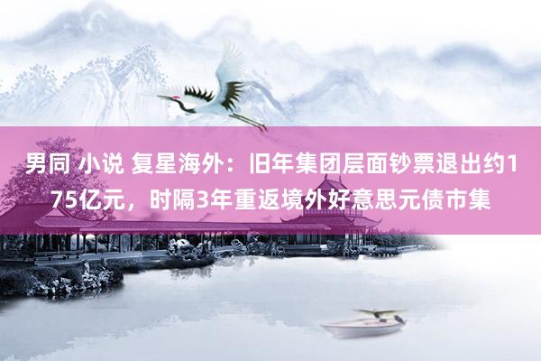 男同 小说 复星海外：旧年集团层面钞票退出约175亿元，时隔3年重返境外好意思元债市集