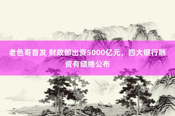 老色哥首发 财政部出资5000亿元，四大银行融资有缱绻公布