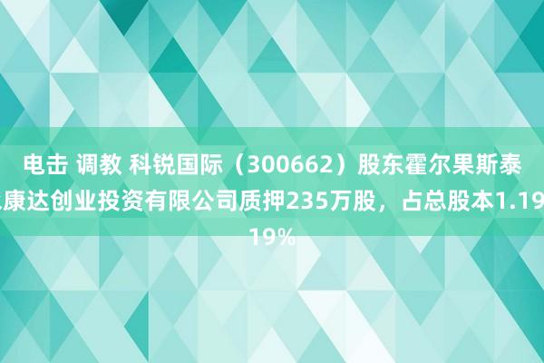 电击 调教 科锐国际（300662）股东霍尔果斯泰永康达创业投资有限公司质押235万股，占总股本1.19%