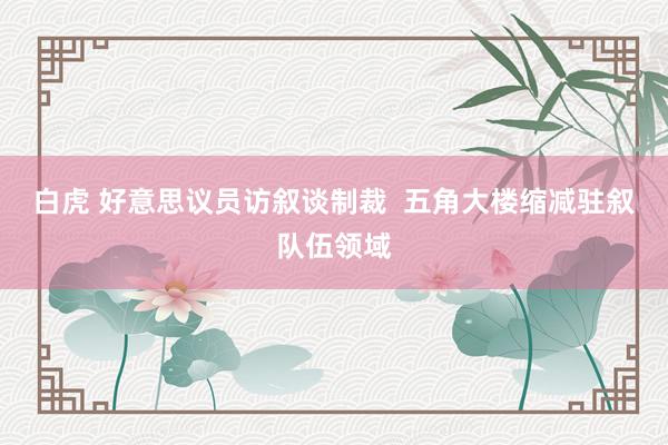 白虎 好意思议员访叙谈制裁  五角大楼缩减驻叙队伍领域