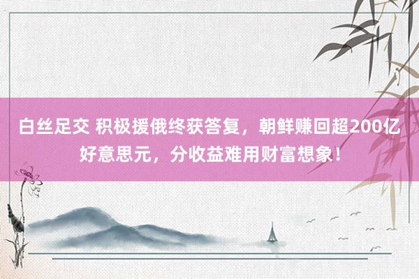 白丝足交 积极援俄终获答复,朝鲜赚回超200亿好意思元,分收益难用财富想象!