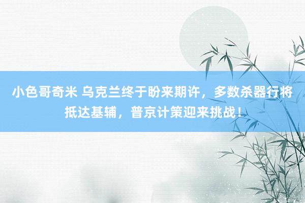 小色哥奇米 乌克兰终于盼来期许,多数杀器行将抵达基辅,普京计策迎来挑战!
