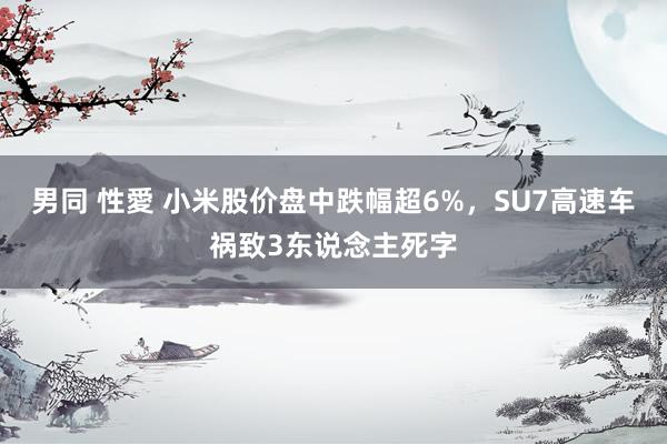 男同 性愛 小米股价盘中跌幅超6%，SU7高速车祸致3东说念主死字