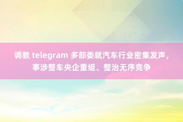 调教 telegram 多部委就汽车行业密集发声，事涉整车央企重组、整治无序竞争
