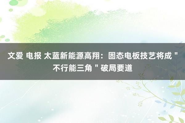 文爱 电报 太蓝新能源高翔：固态电板技艺将成＂不行能三角＂破局要道